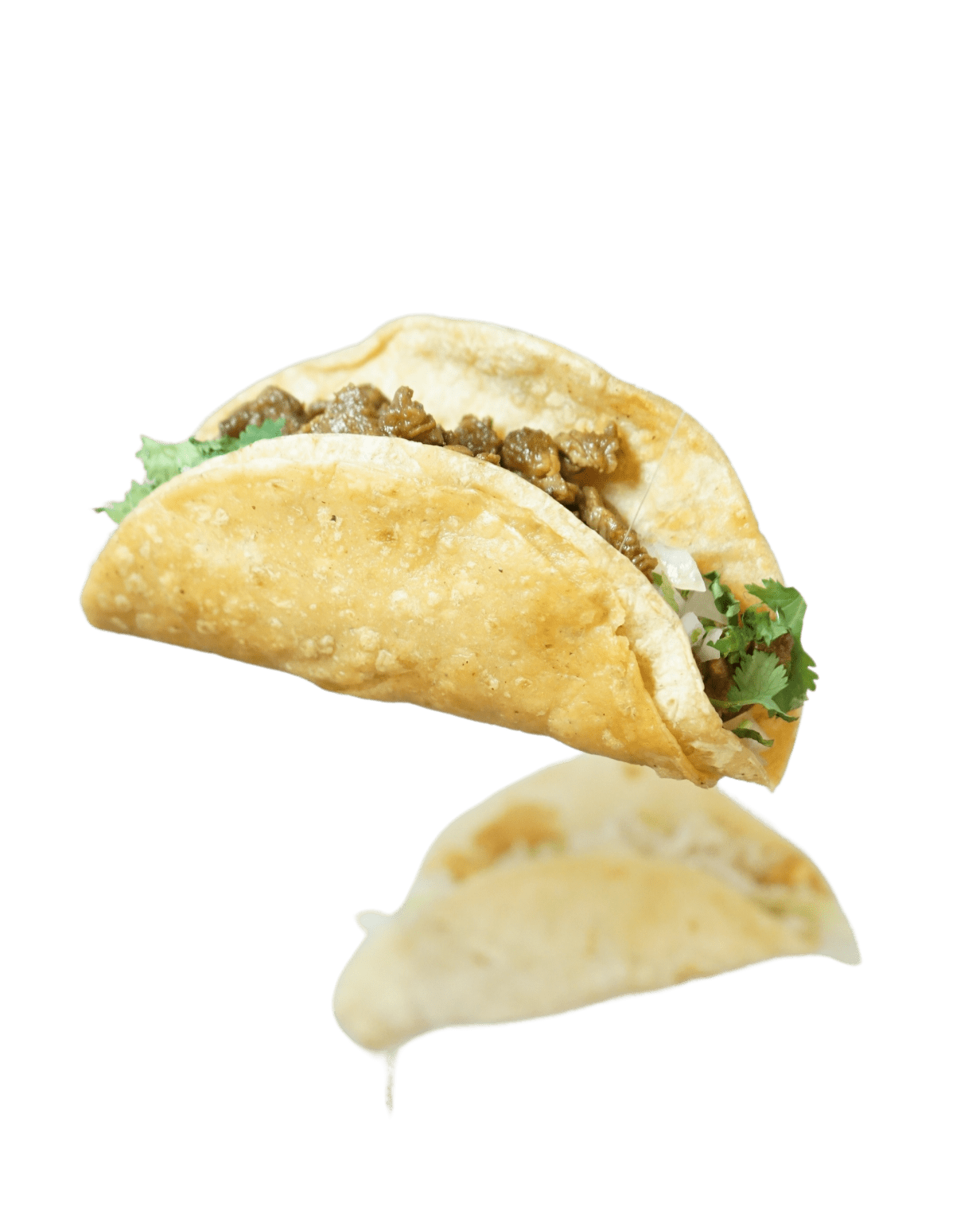 専用 DON tacos様 Don Taco Mexican Grill